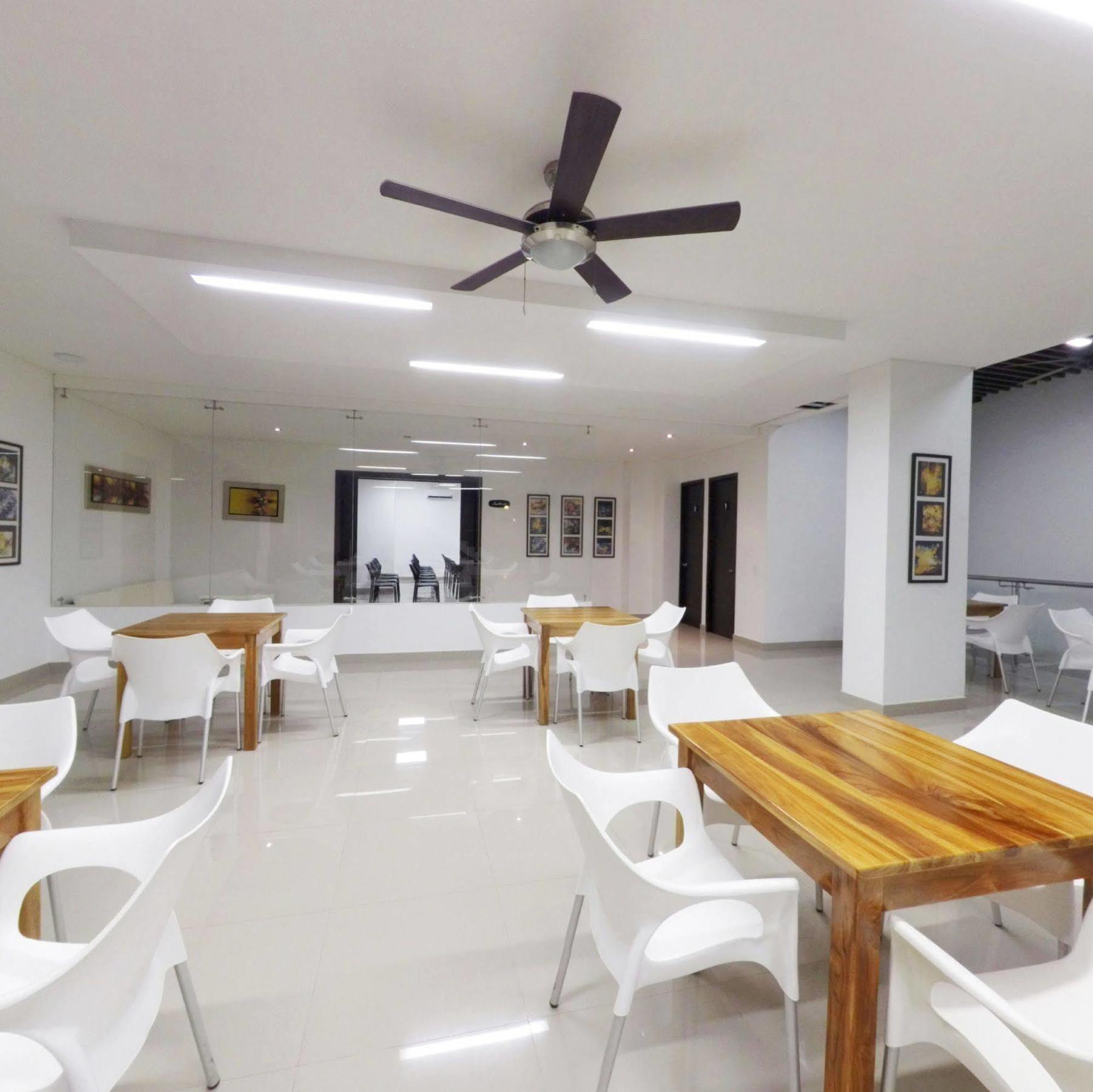 Hotel Cinco מונטריה מראה חיצוני תמונה
